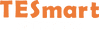 TESmart logo